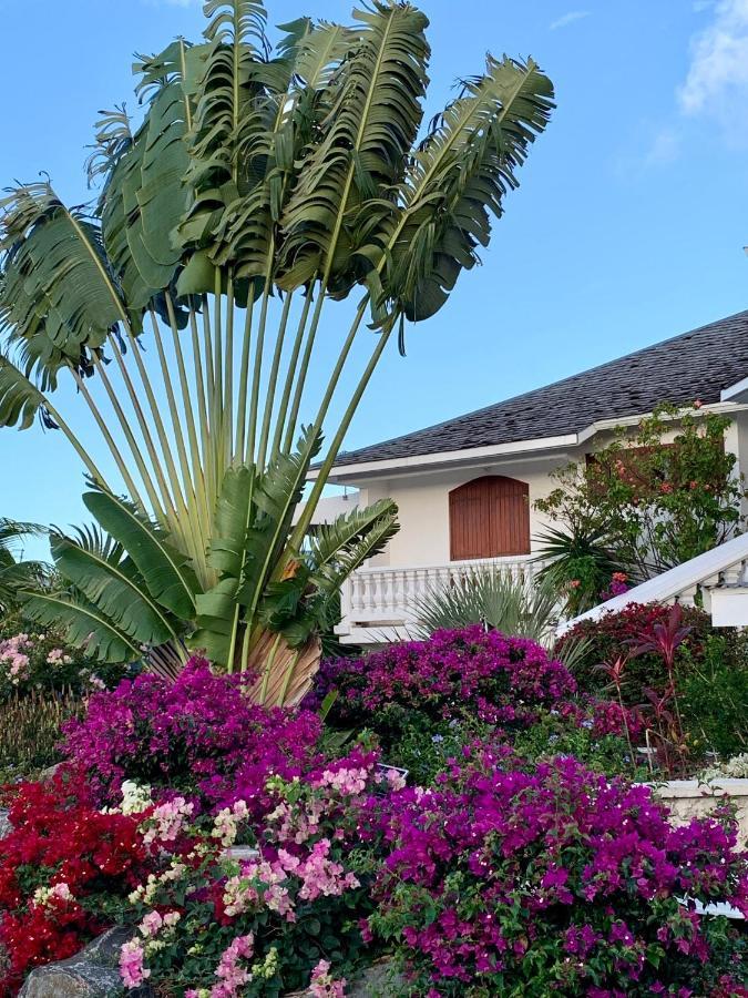 Domaine Saint-Francois Hotel Bagian luar foto