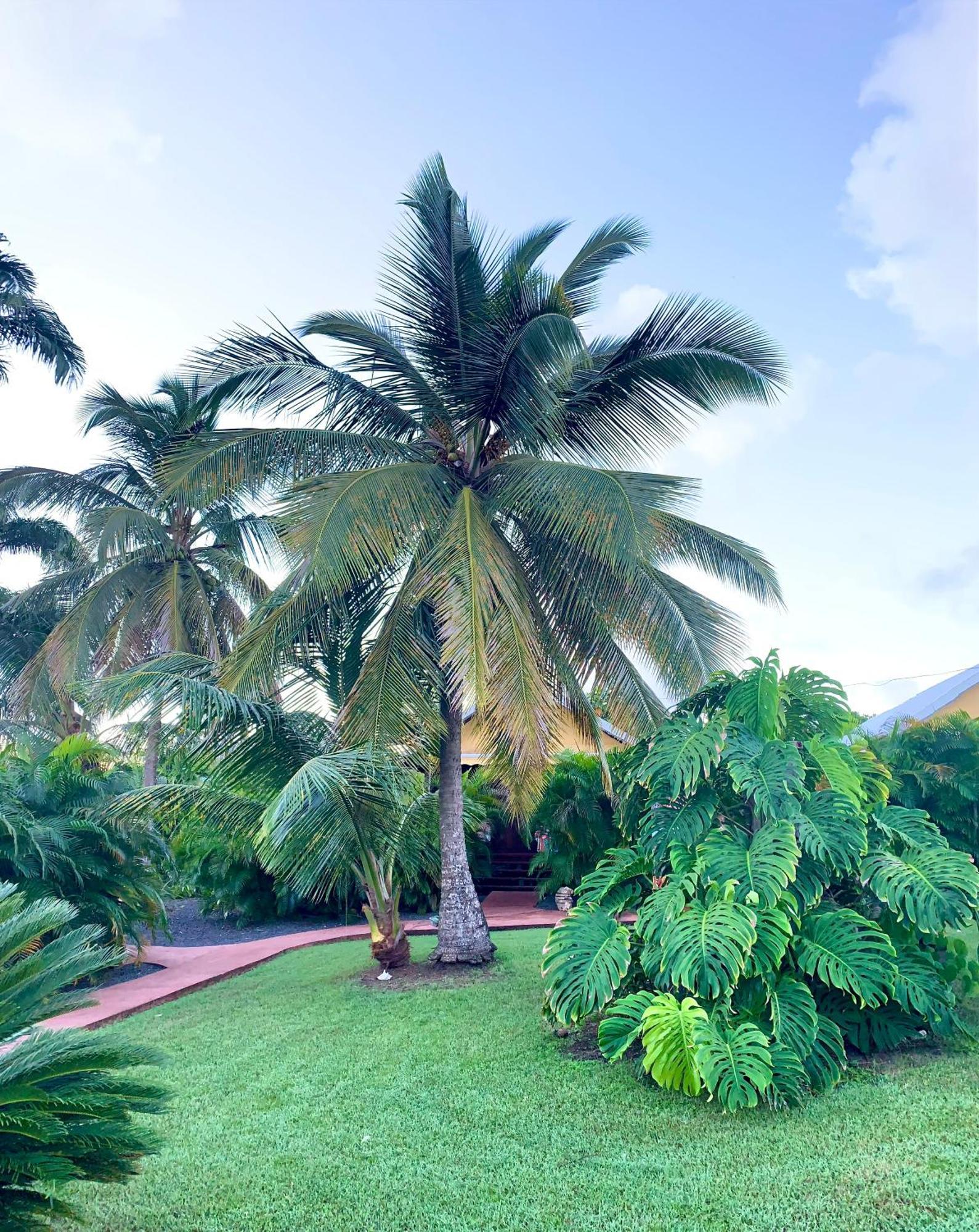 Domaine Saint-Francois Hotel Bagian luar foto