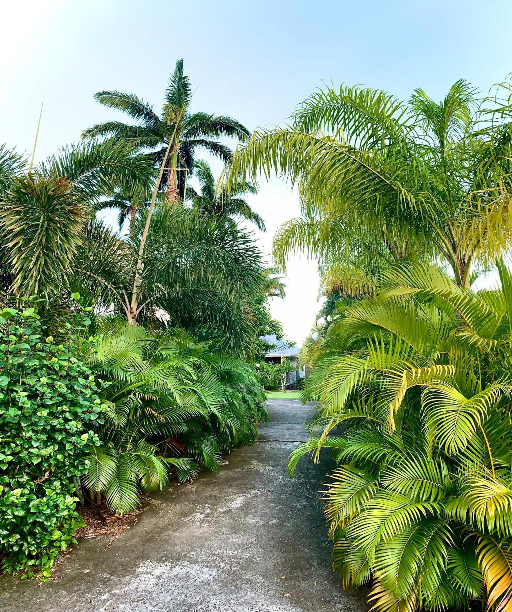 Domaine Saint-Francois Hotel Bagian luar foto
